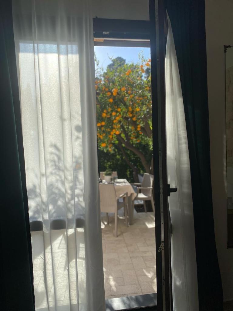 Casa Vacanza Il Mandarino Viagrande Exterior foto